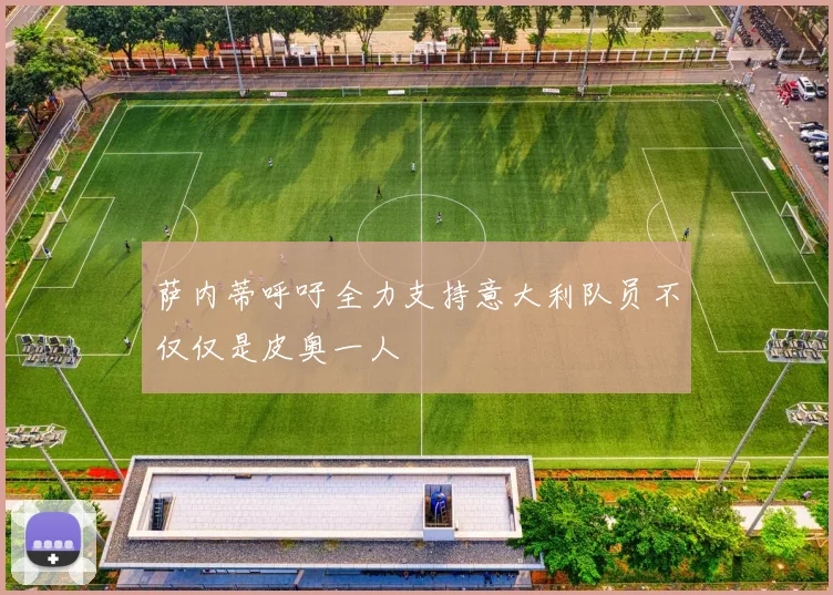 萨内蒂呼吁全力支持意大利队员不仅仅是皮奥一人